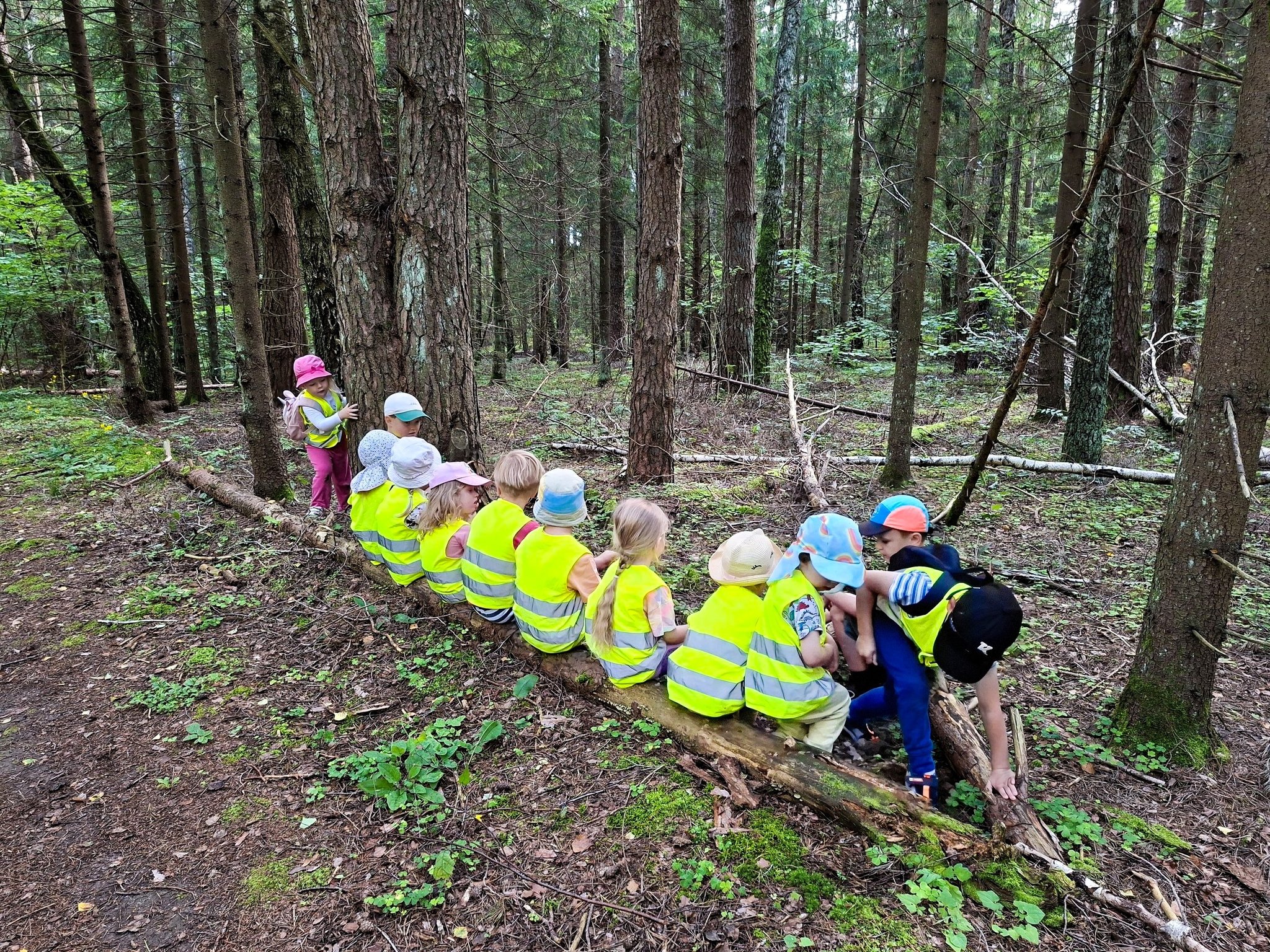 522500393 2478582385831644 623484620839566588 n