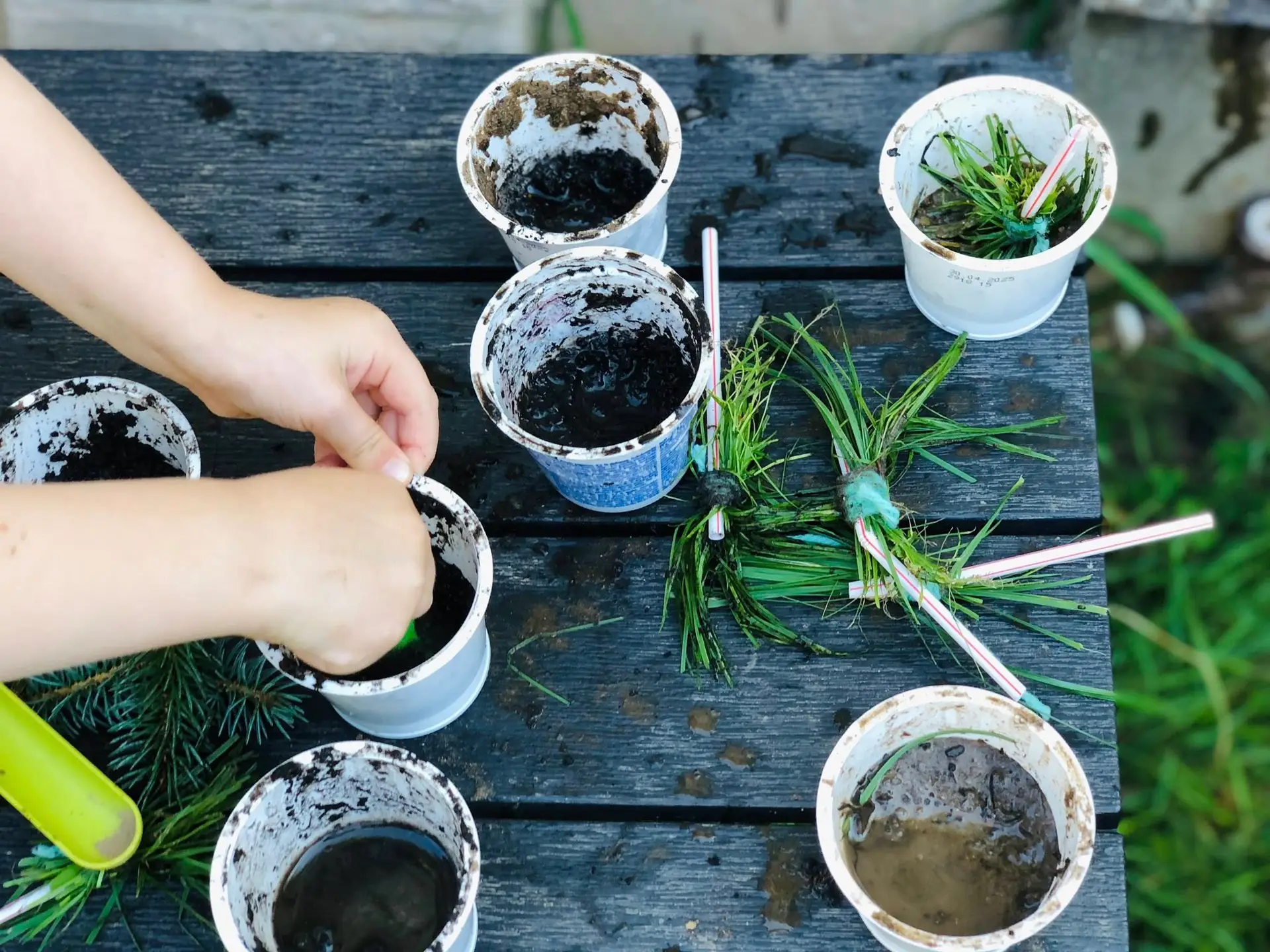 542110160 24279712458316411 530757835499611732 n