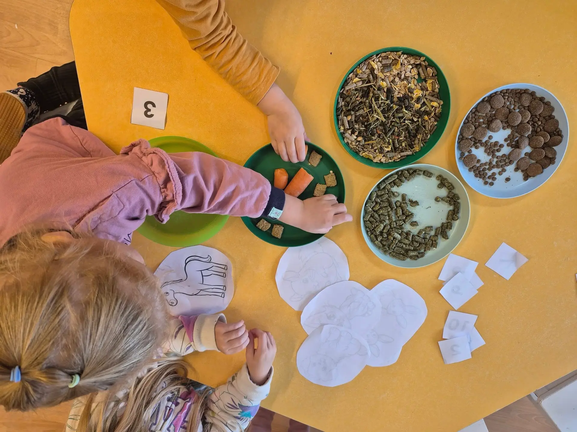 548200250 31678451015079517 9160226789801792085 n