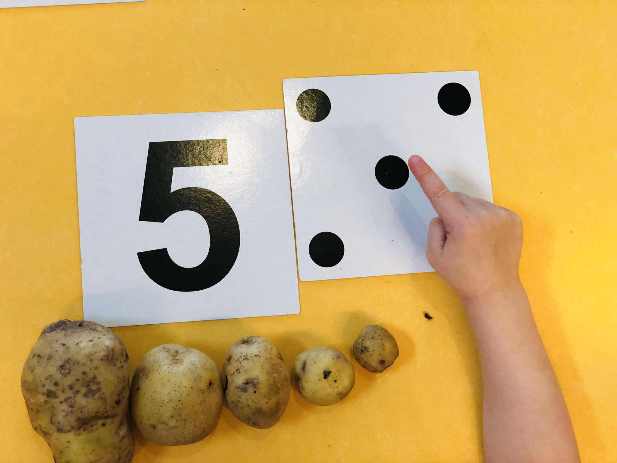 554534979 1326729635611781 7368066475102688180 n