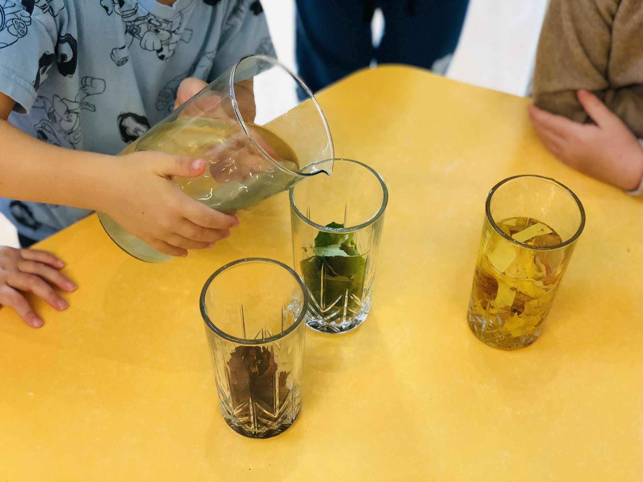 561386664 32145893491668598 1668751631480445508 n